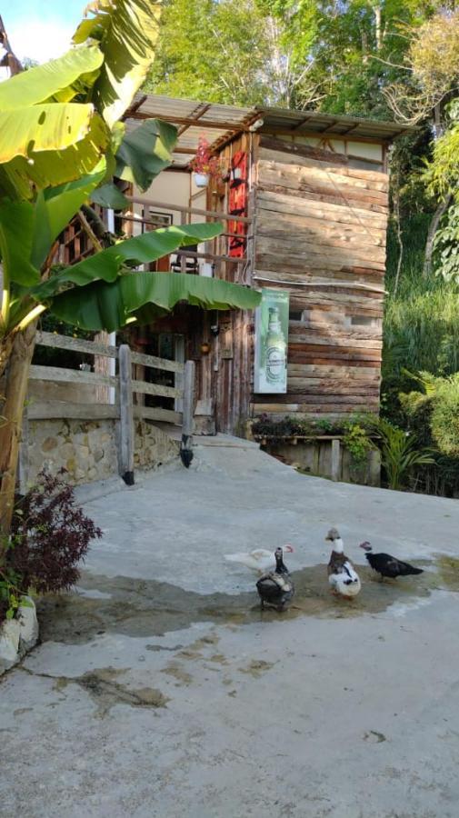 Hotel Selva Verde Salento Luaran gambar