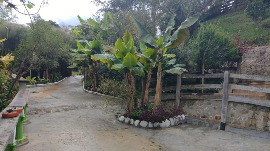 Hotel Selva Verde Salento Luaran gambar