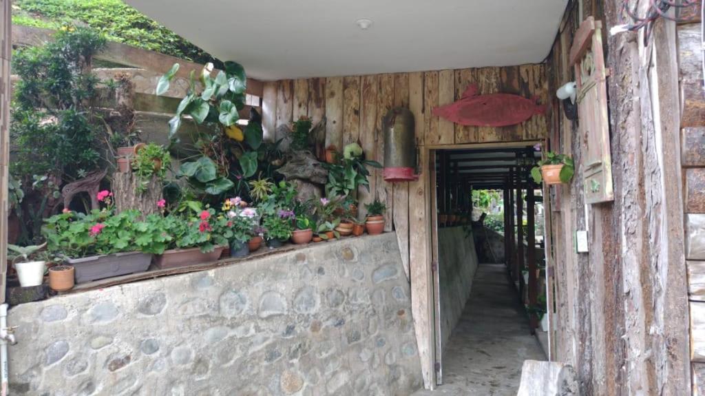 Hotel Selva Verde Salento Luaran gambar