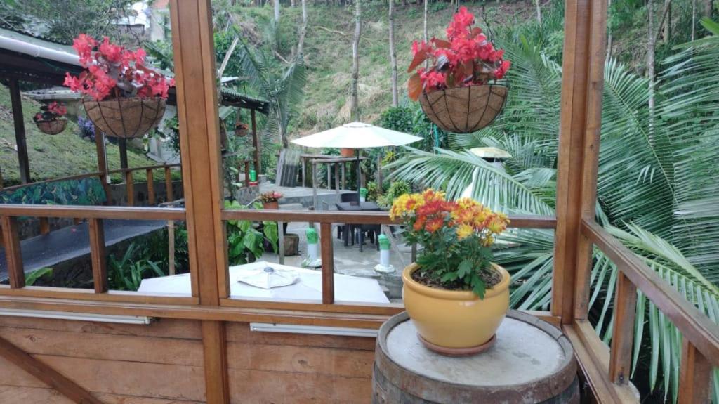 Hotel Selva Verde Salento Luaran gambar